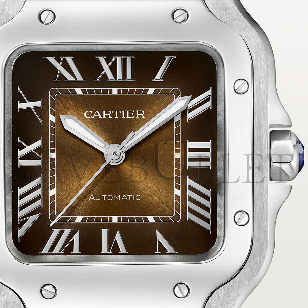 CARTIER SANTOS DE CARTIER WATCH WSSA0065